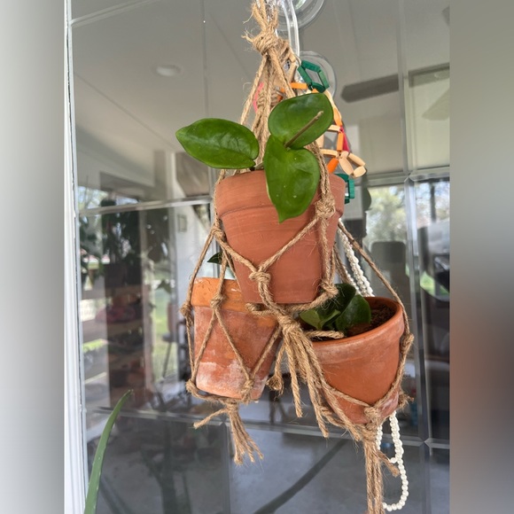 Plant Welcome Post!! 🪴🌱 - Picture 6 of 12